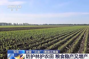 半岛电竞官方网站下载安卓手机截图4